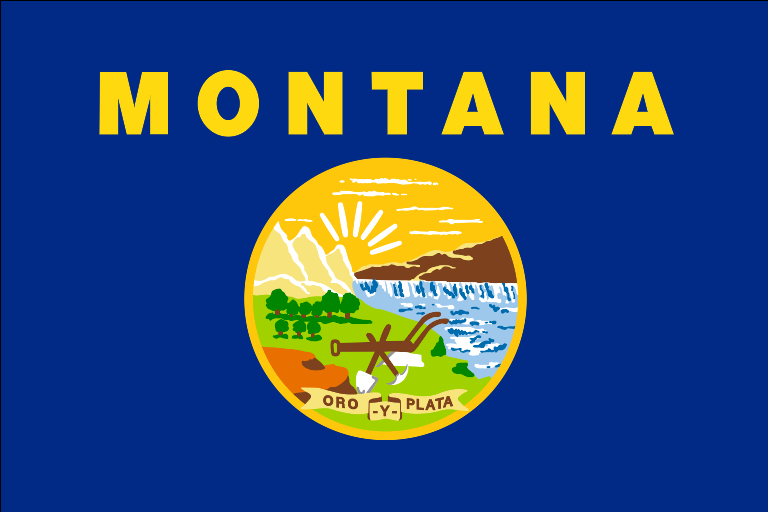 Gallatin County Ballot Measure Montana General Election BallotReady